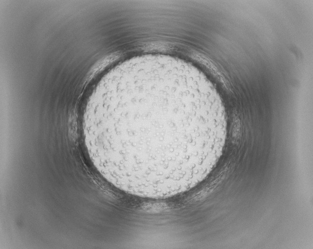 X0000115510978200912181441