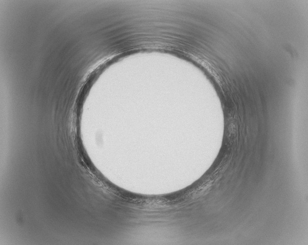 X0000115510979200912181441