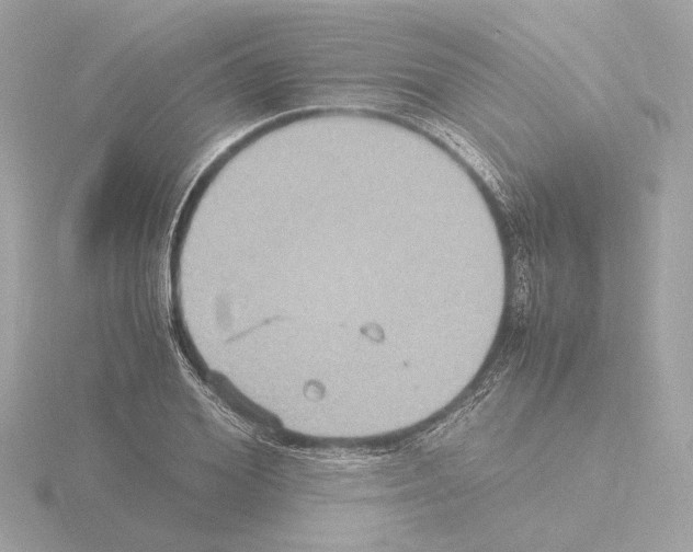 X0000115510980200912181441