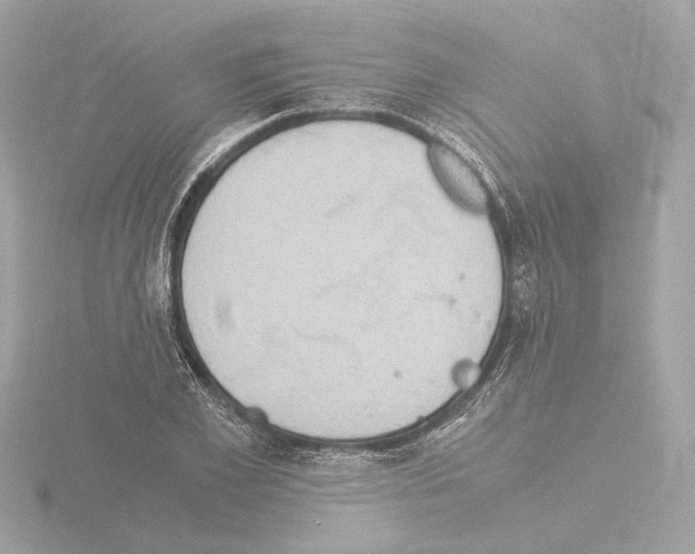 X0000115510981200912181441