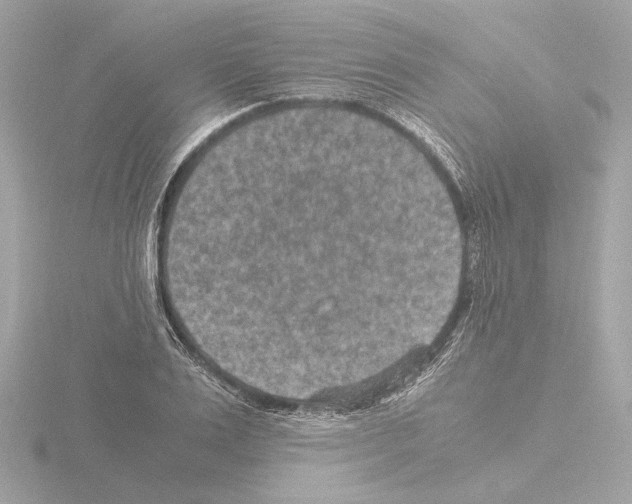 X0000115510983200912181441