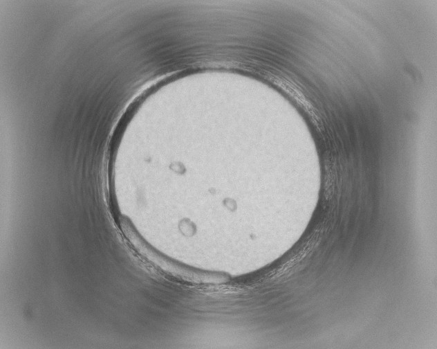 X0000115510984200912181441