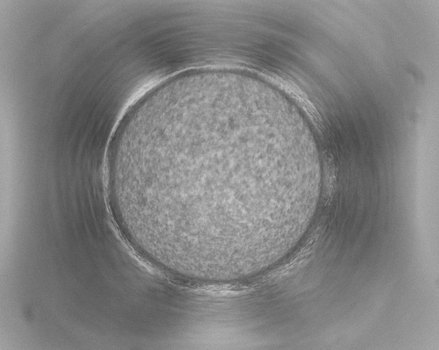 X0000115510990200912181441