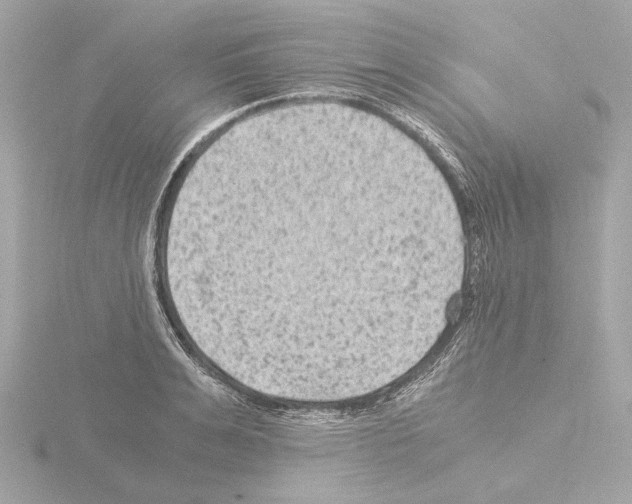 X0000115510991200912181441