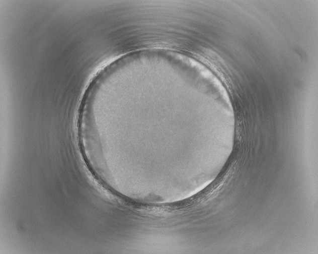 X0000115510995200912181441