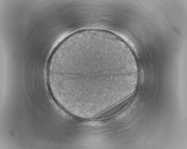 X0000115510998200912181441