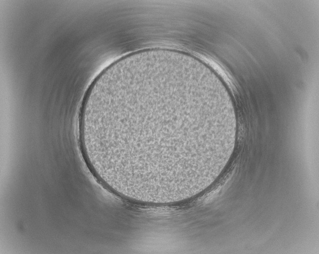 X0000115510999200912181441