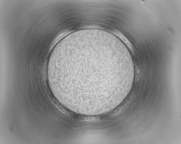 X0000115511002200912181441