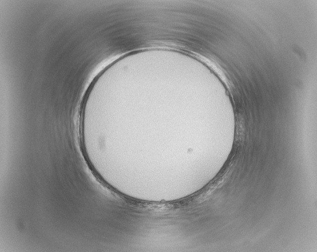 X0000115511003200912181441