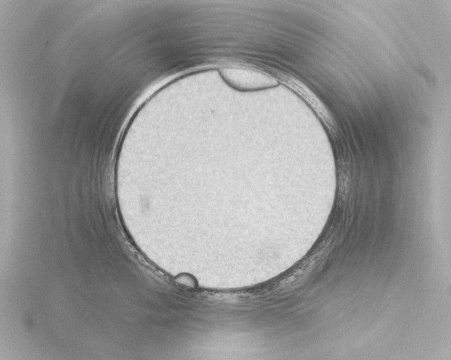 X0000115511004200912181441