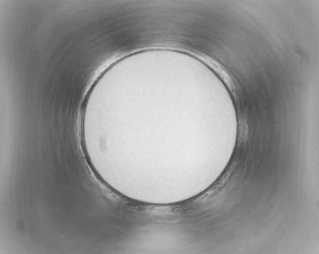 X0000115511006200912181441