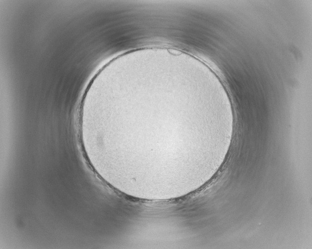 X0000115511008200912181441