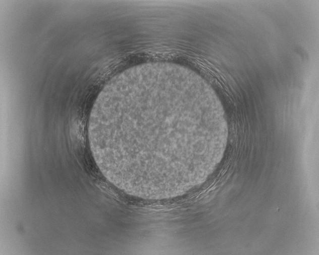 X0000115511010200912181440