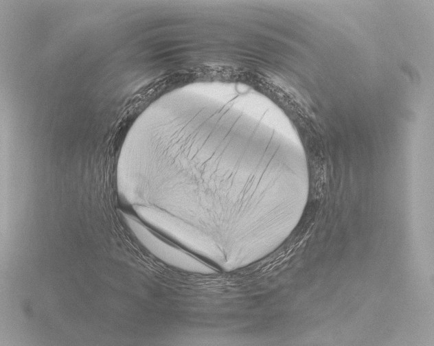 X0000115511013200912181440