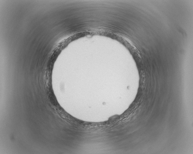 X0000115511016200912181441