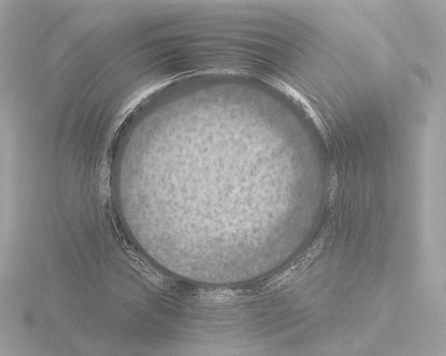 X0000115511019200912181441