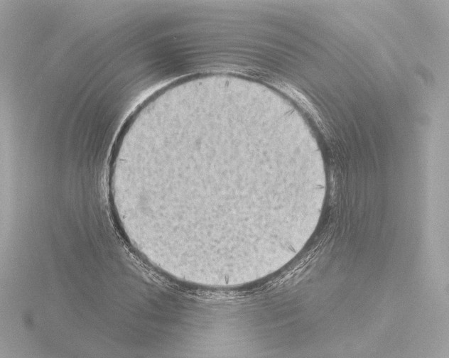 X0000115511020200912181441