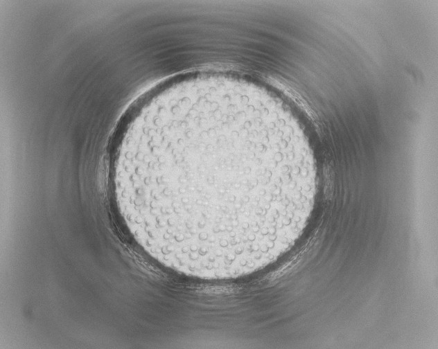 X0000115511021200912181441