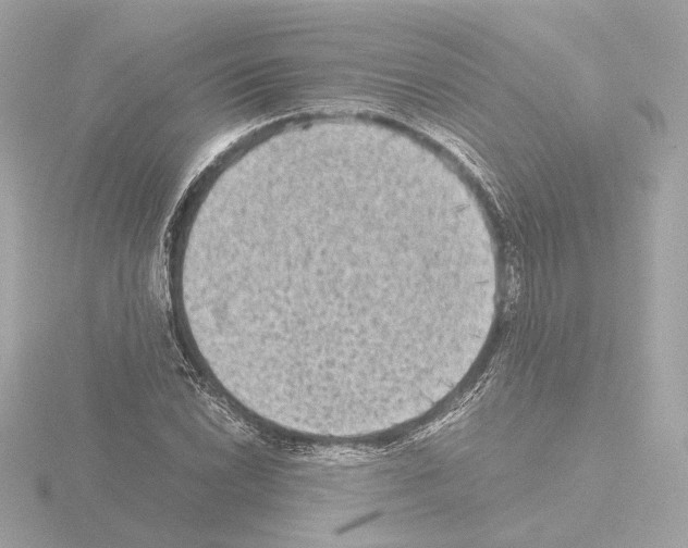 X0000115511022200912181441