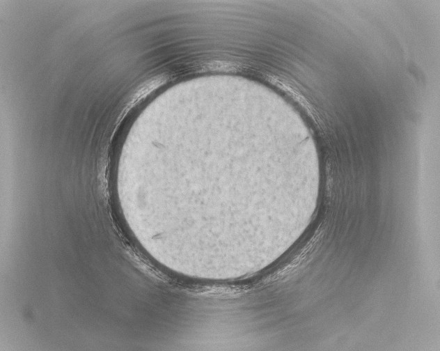 X0000115511026200912181441