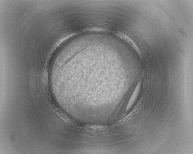 X0000115511027200912181441