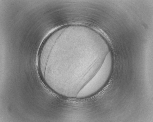 X0000115511028200912181441