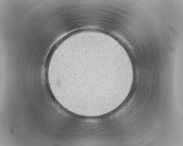 X0000115511029200912181441