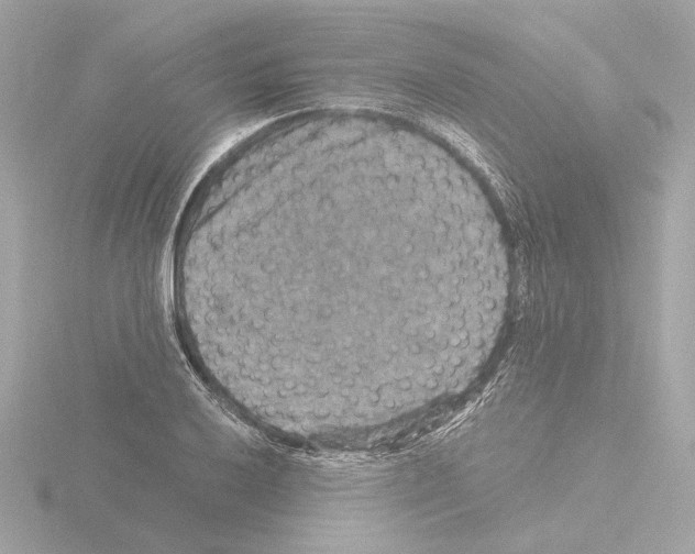 X0000115511032200912181441