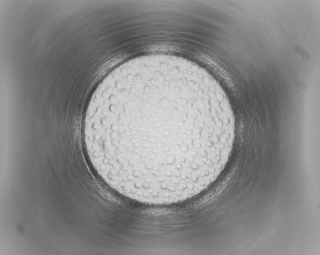 X0000115511033200912181441