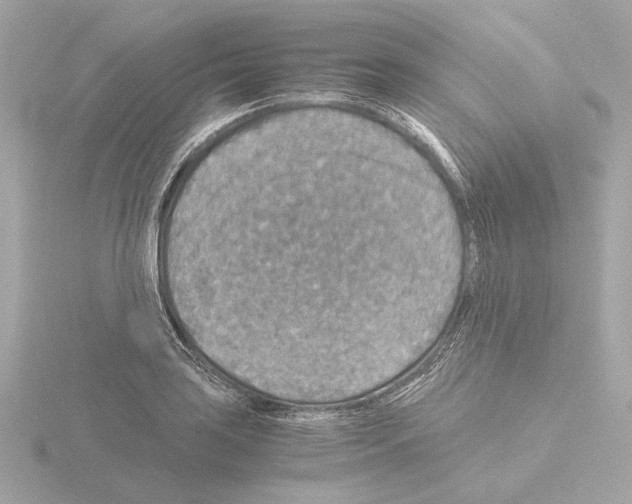 X0000115511035200912181441