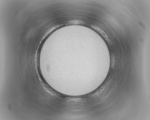 X0000115511039200912181441