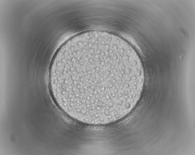 X0000115511040200912181441