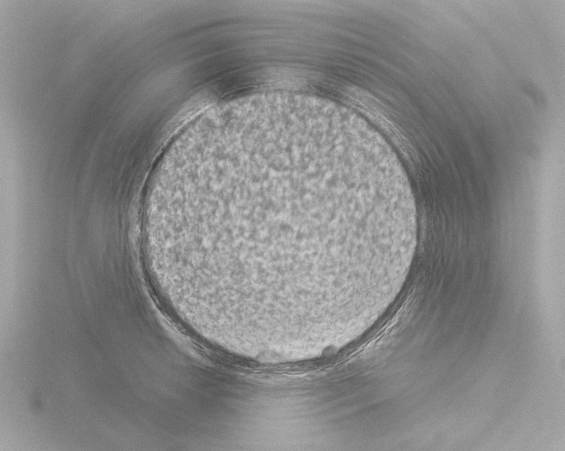 X0000115511042200912181441