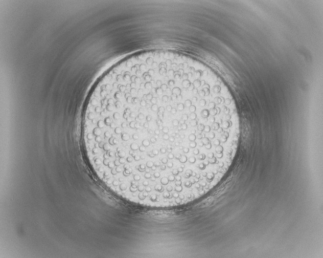 X0000115511044200912181441