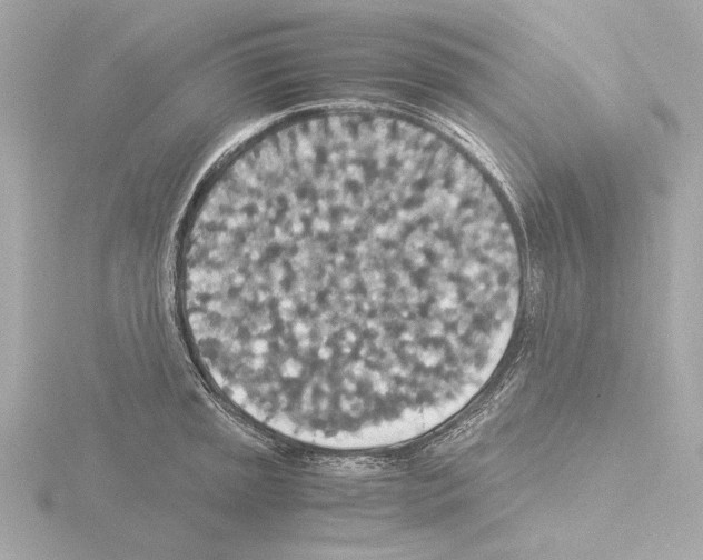 X0000115511045200912181441