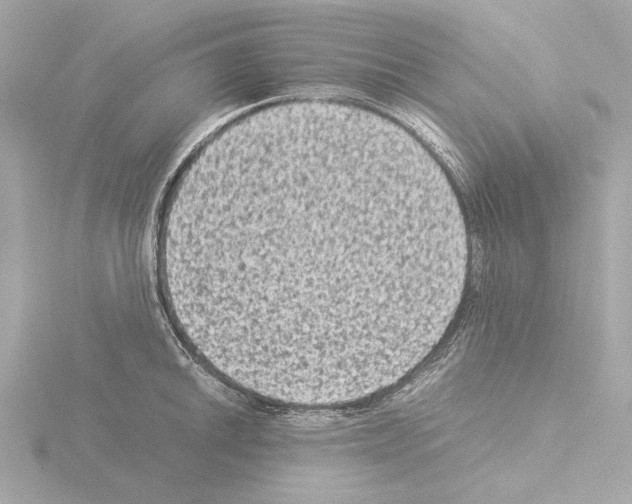 X0000115511046200912181441