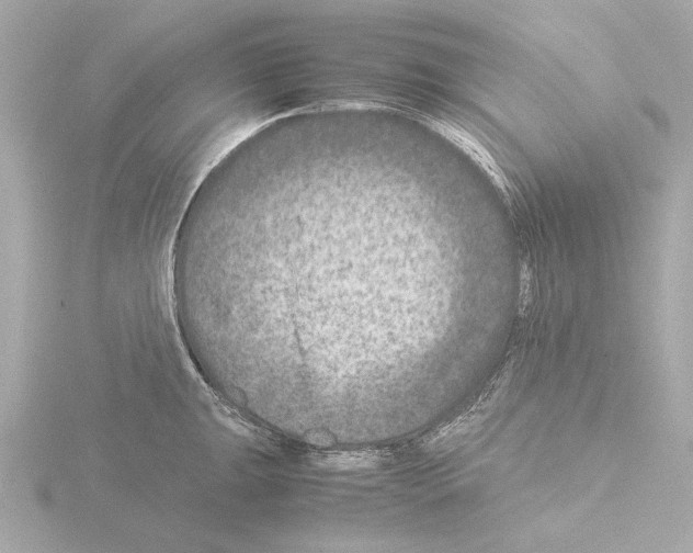 X0000115511047200912181441