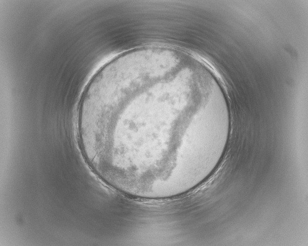 X0000115511048200912181441