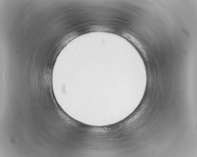 X0000115511049200912181441