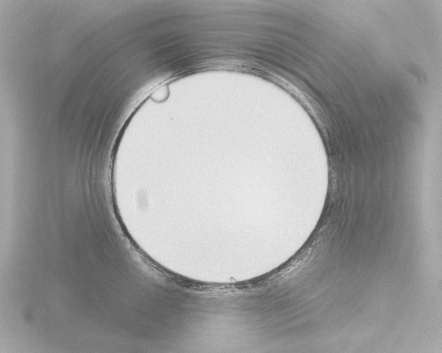 X0000115511050200912181441