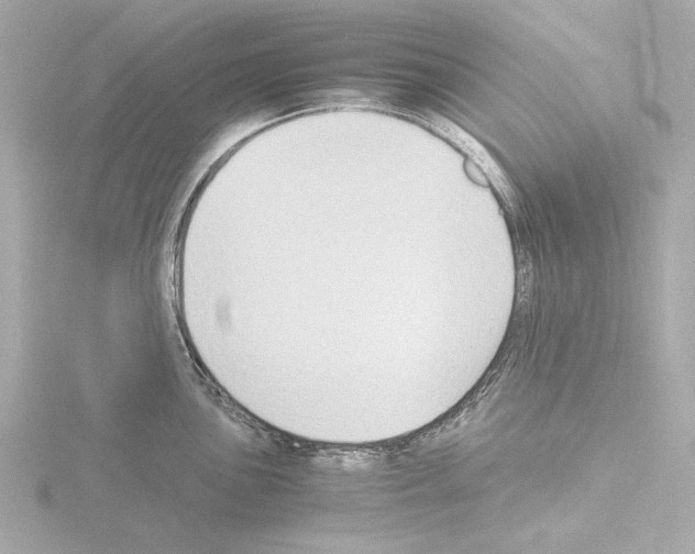 X0000115511051200912181441