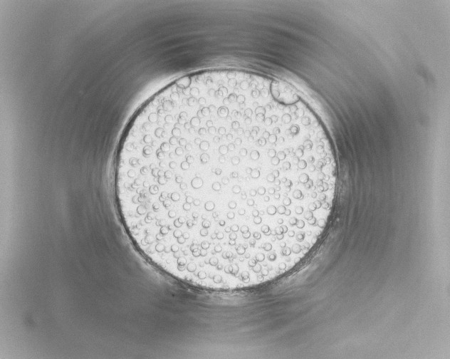 X0000115511053200912181441