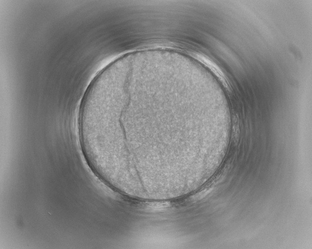 X0000115511055200912181441