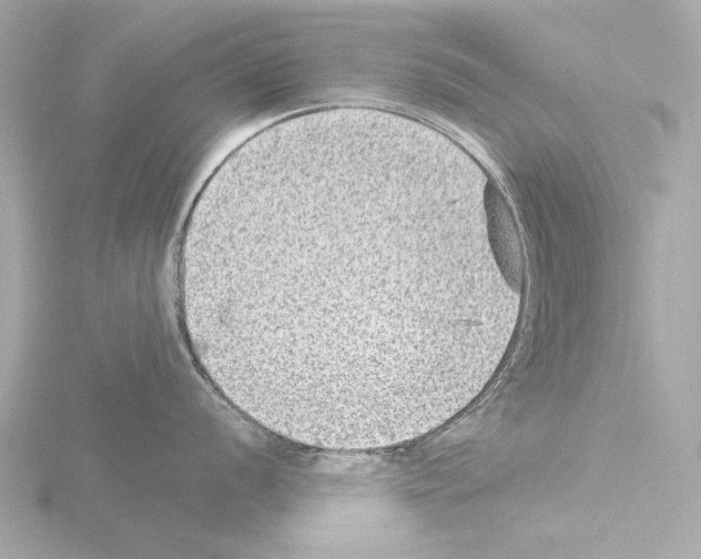 X0000115511056200912181441