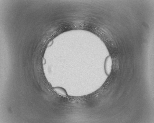 X0000115511057200912181440