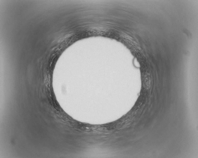 X0000115511061200912181440