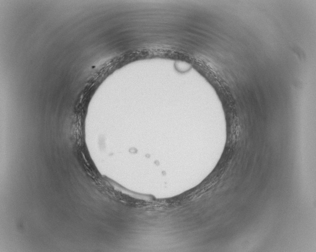 X0000115511062200912181440