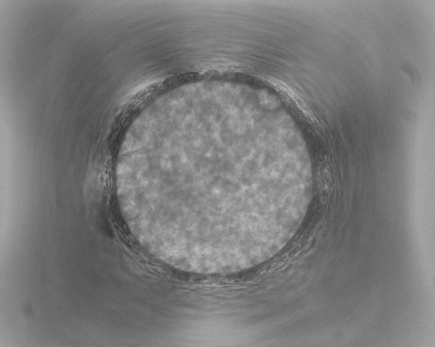 X0000115511063200912181440