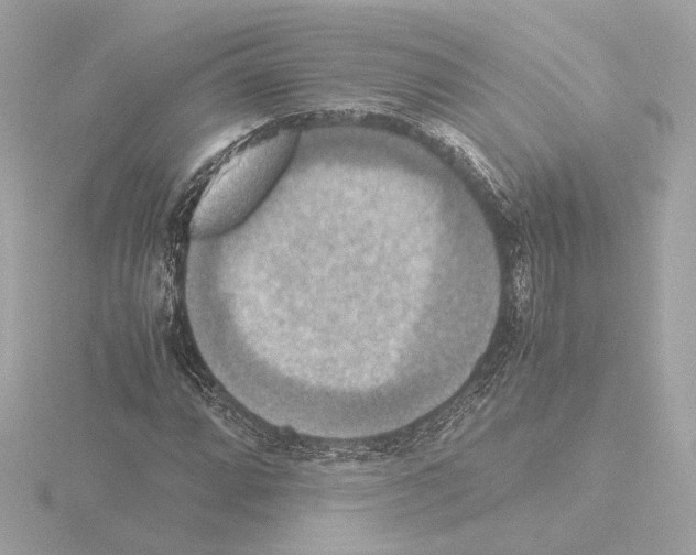 X0000115511064200912181440