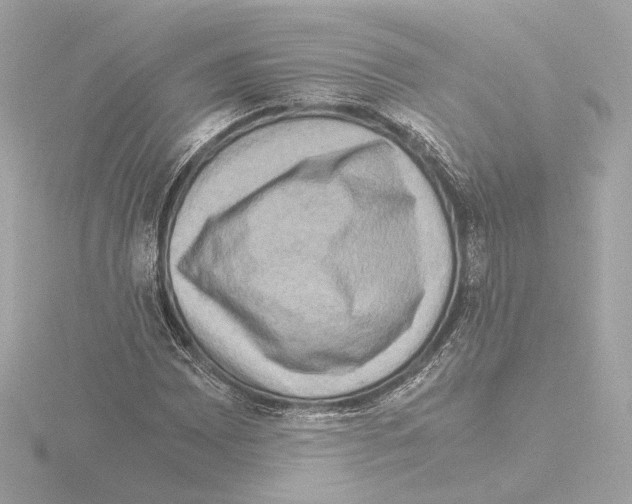 X0000115511065200912181440